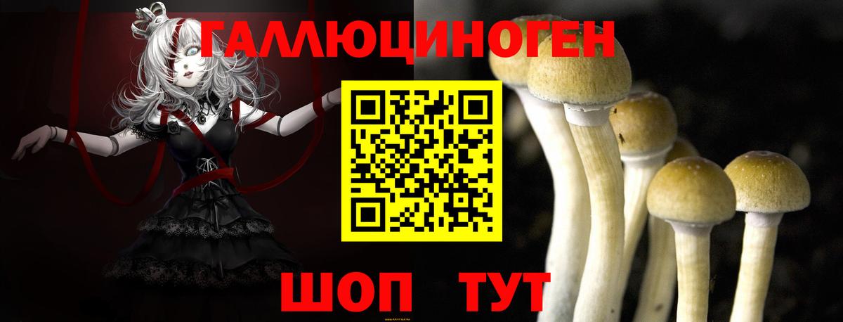 Галлюциногенные грибы прущие грибы  Вход с VPN  Канаш 